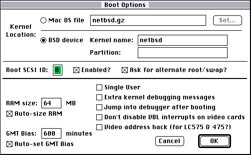 Picture of Boot Options dialog window