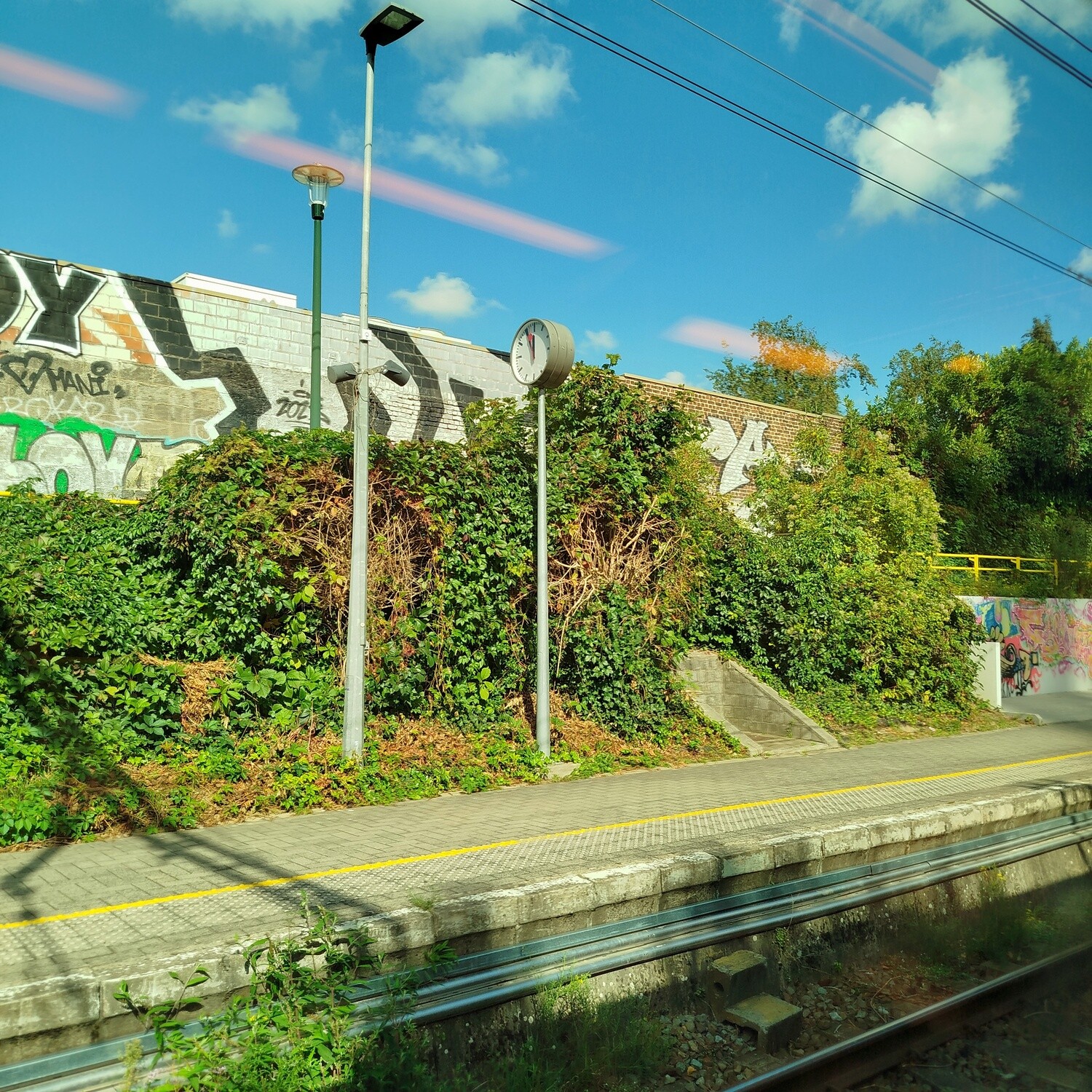 View from the window of the S19 train to Etterbeek. There is a clok at 12 o'clock and a wall with graffiti and covered by plants
