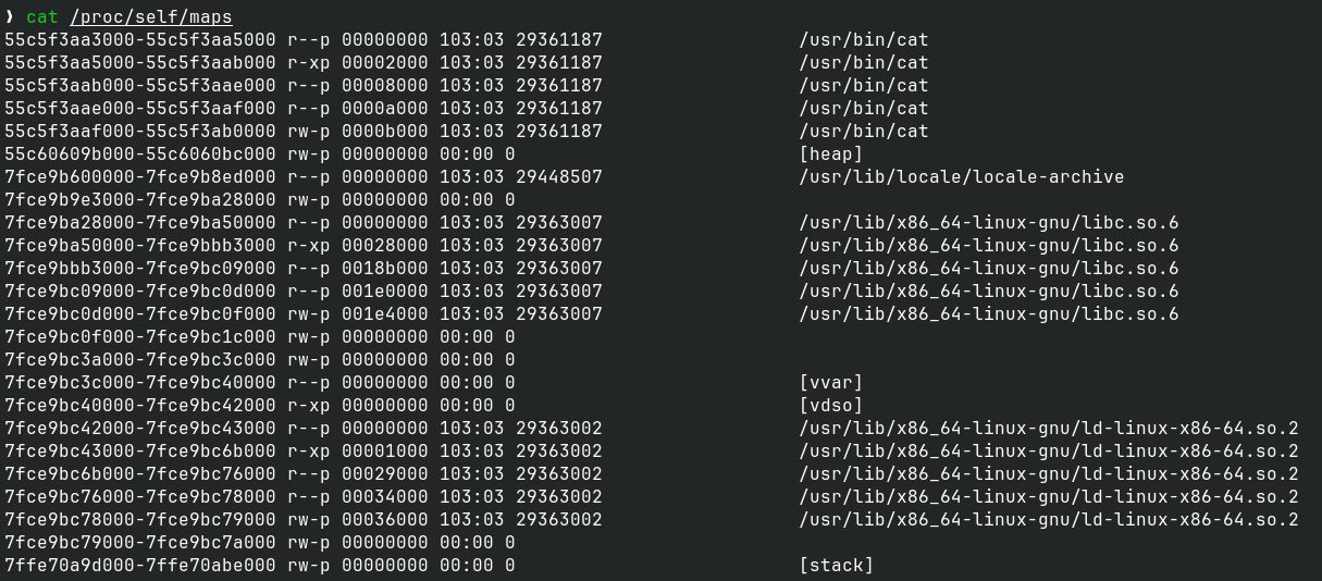 Screenshot of "cat /proc/self/maps" on Linux