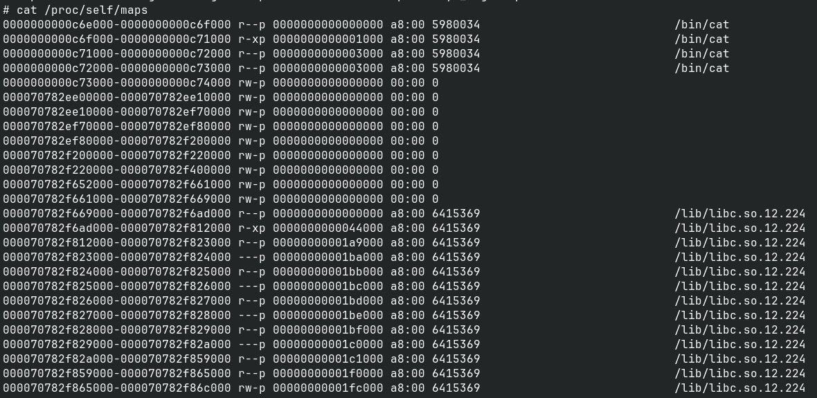 Screenshot of "cat /proc/self/maps" on NetBSD