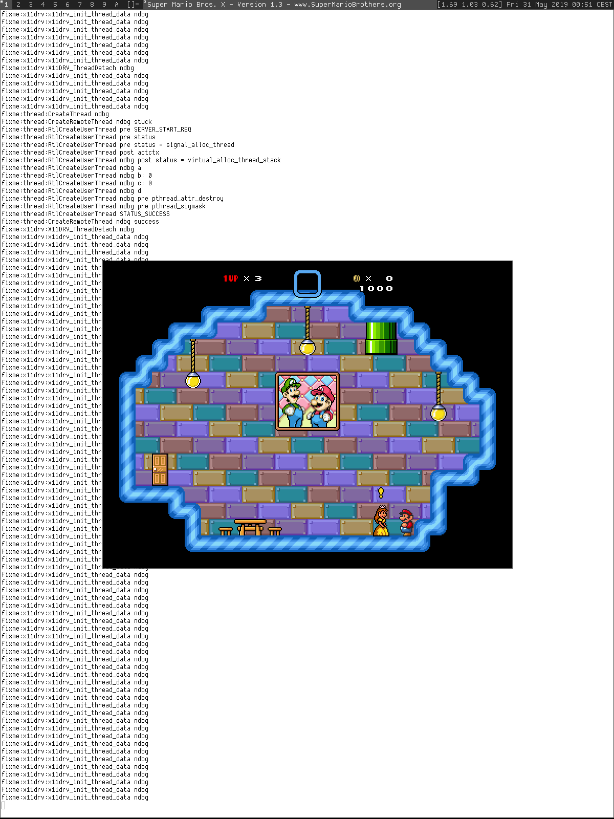 Screenshot of mario running under wine